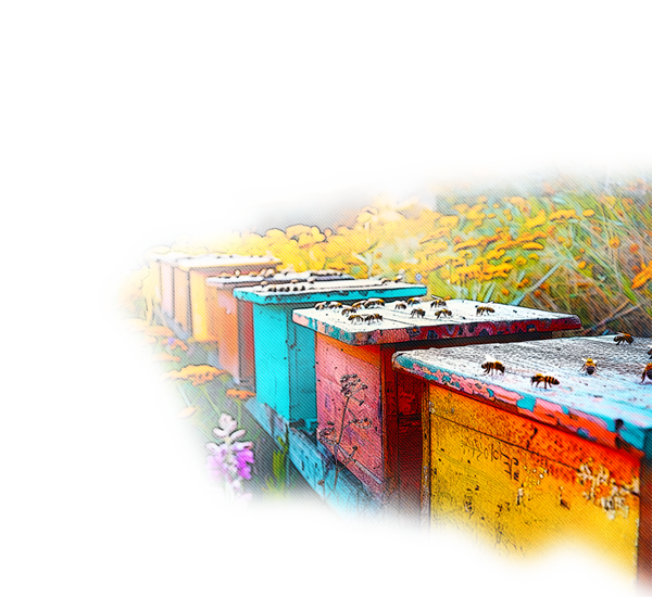 Image Slider 3